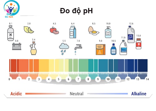 Độ pH một số loại thường gặp - Công thức hoá học của quỳ tím