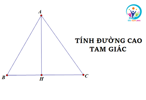 Công thức tính đường cao trong tam giác vuông, cân, đều, thường và bài tập có lời giải