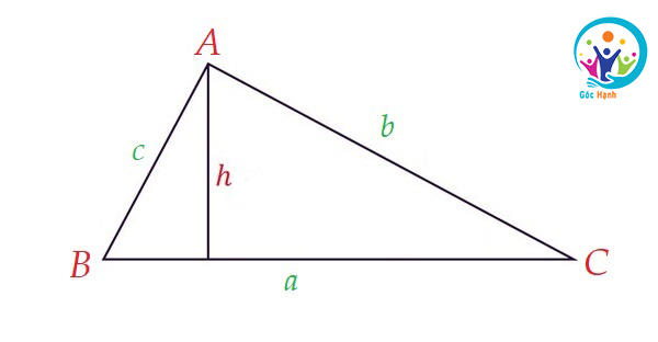Công thức tính diện tích hình tam giác vuông, cân, đều, thường theo cấp