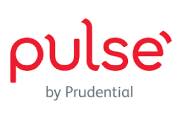 Phần mềm Pulse là gì