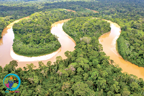 Tại sao phải đặt vấn đề bảo vệ rừng amazon 2