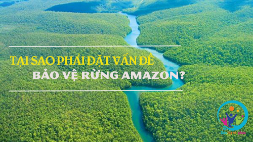 [Lý giải] Tại sao phải đặt vấn đề bảo vệ rừng Amazon?